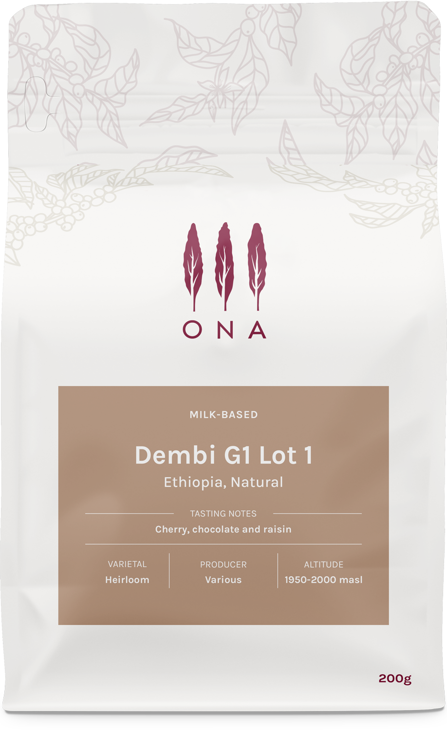 Dembi G1 Lot 1, Ethiopia, Natural