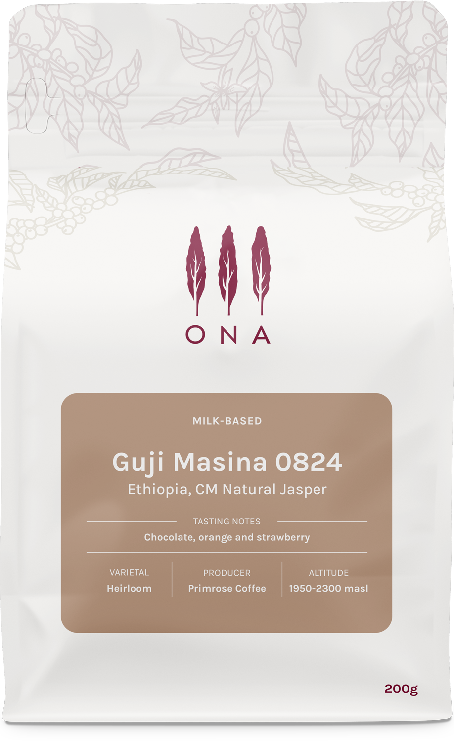 Guji Masina 0824, Ethiopia, CM Natural Jasper