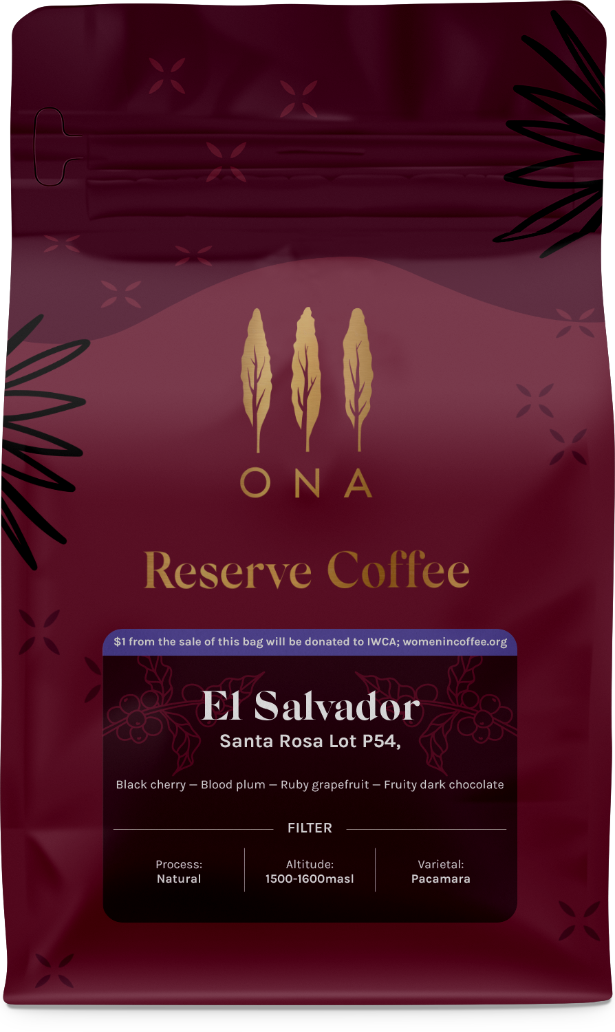 El Salvador Santa Rosa Lot P54, Natural