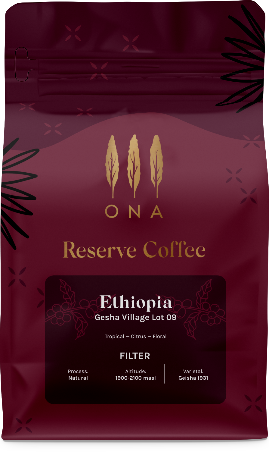 Ethiopia Gesha Village Lot 09 Natural