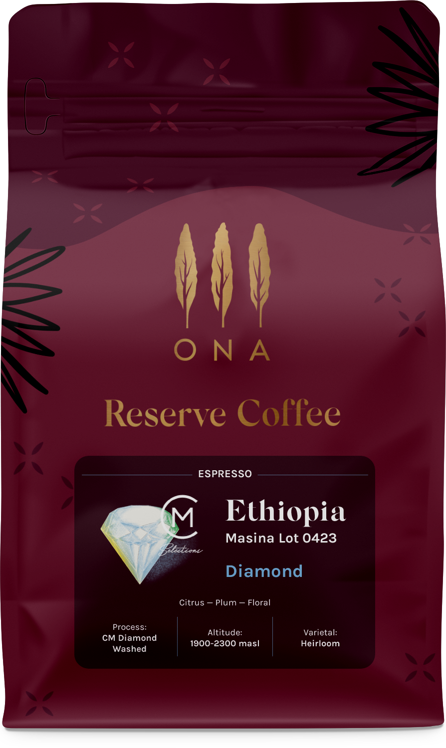 Ethiopia Masina Lot 4023 CM Washed Diamond