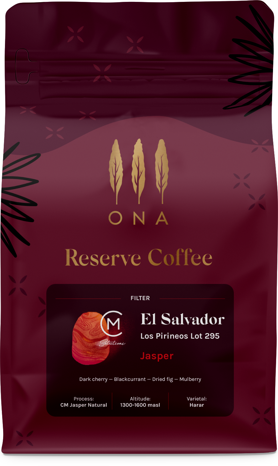 El Salvador Lost Pireneos Lot 295, Harar Heirloom Varietal