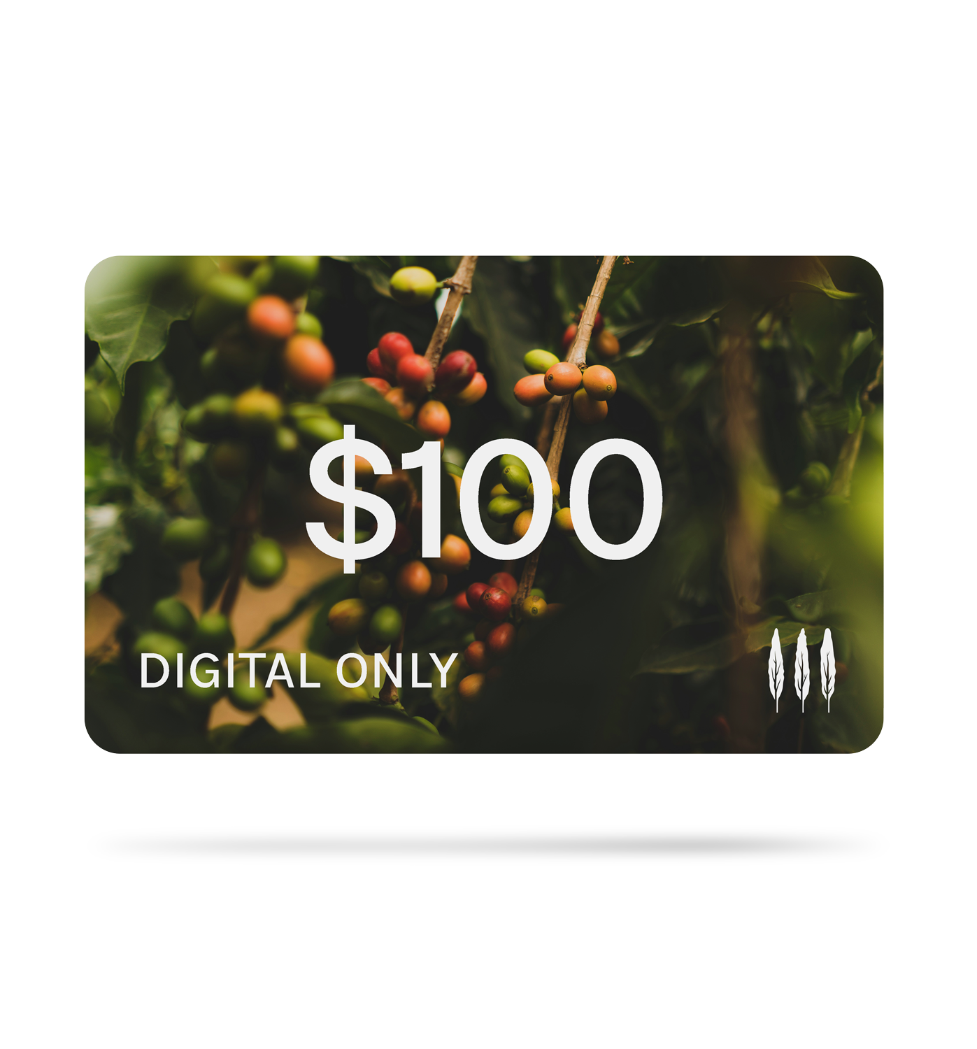Digital Gift Card