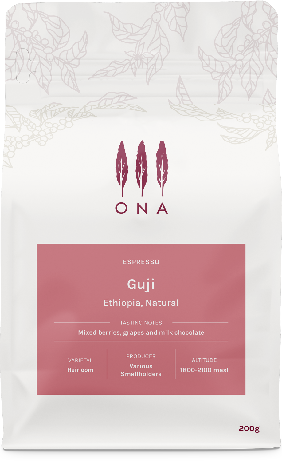 Photo of Guji, Ethiopia, Natural