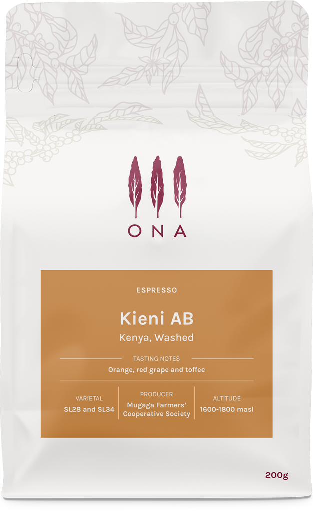 Kieni AB, Kenya, Washed