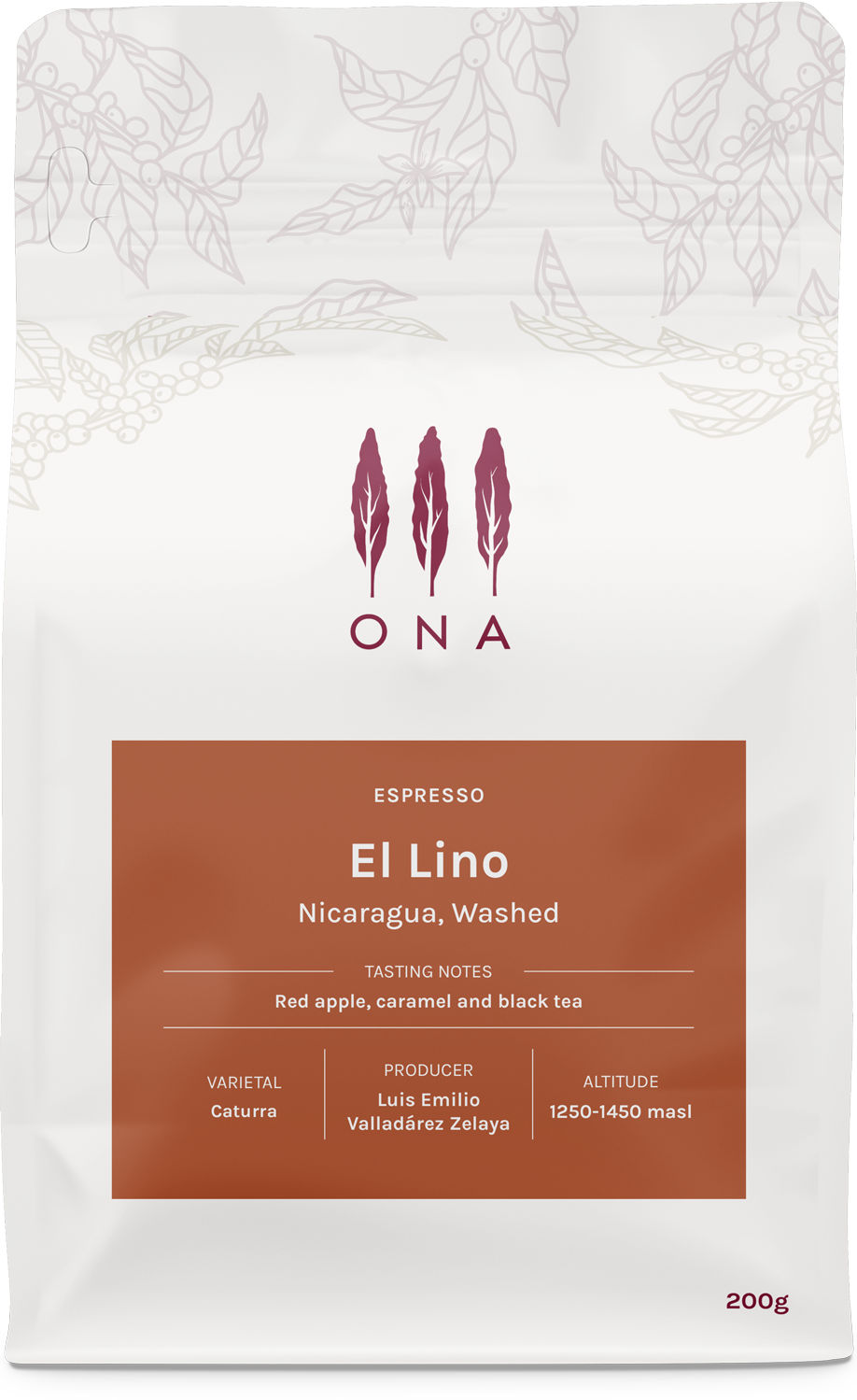 El Lino, Nicaragua, Washed
