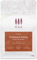 Primavera Family, Guatemala, Washed