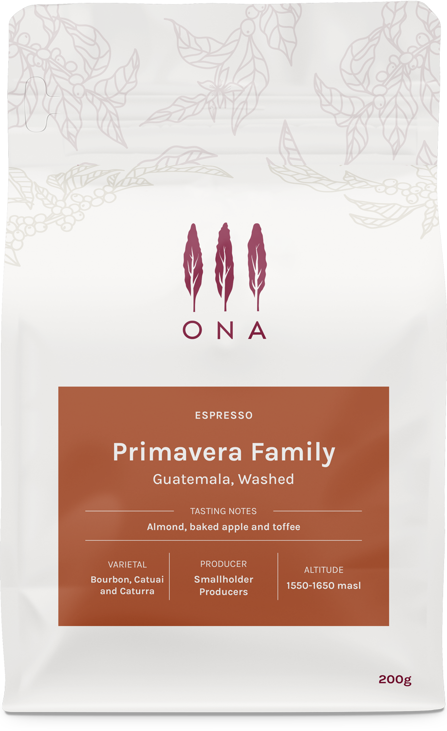 Primavera Family, Guatemala, Washed