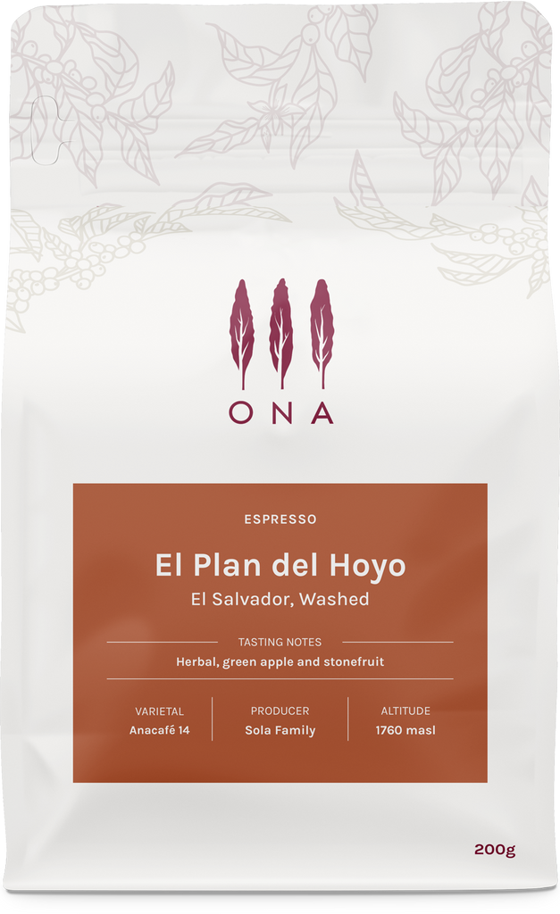 El Plan del Hoyo, El Salvador, Washed