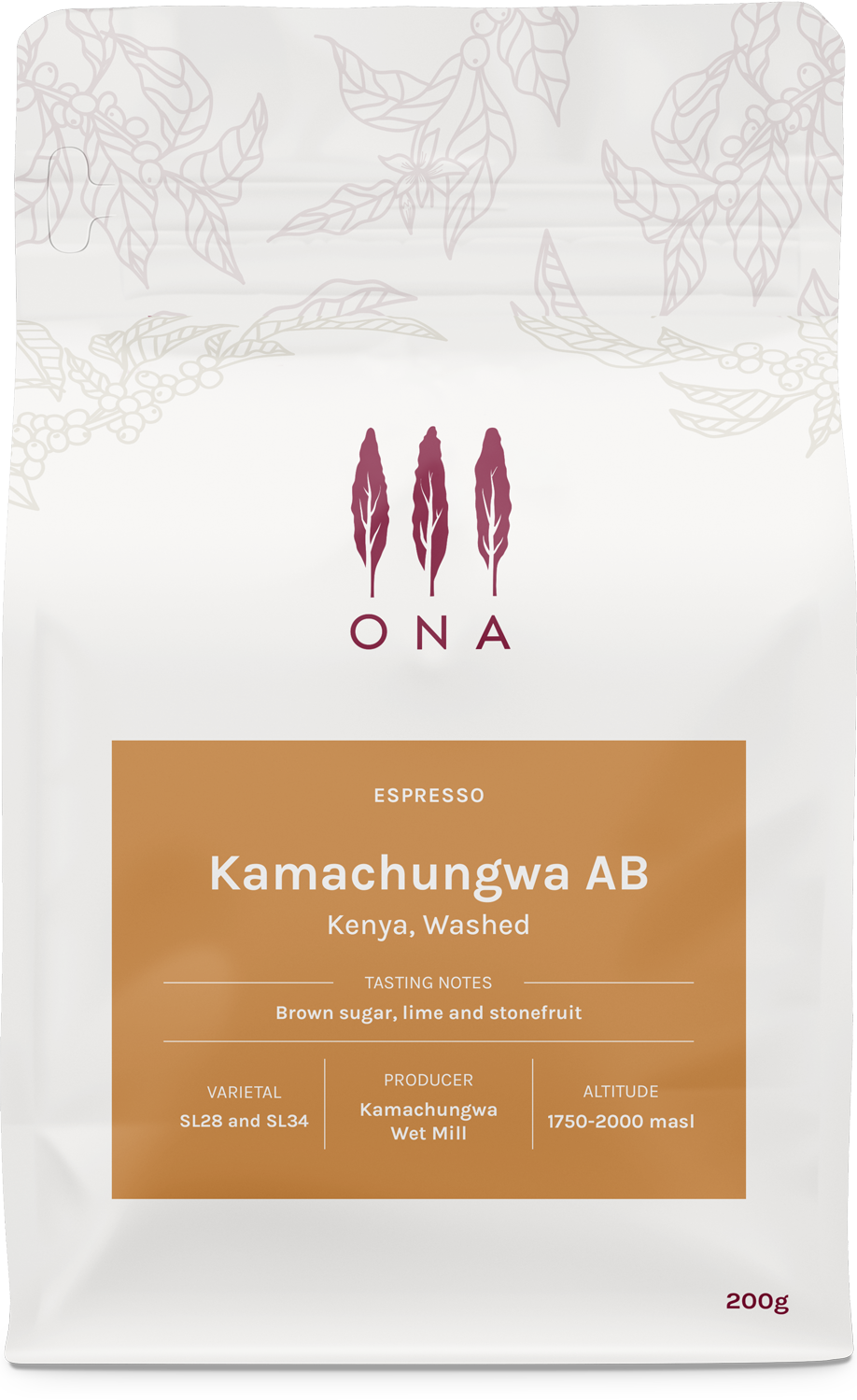 Kamachungwa AB, Kenya, Washed
