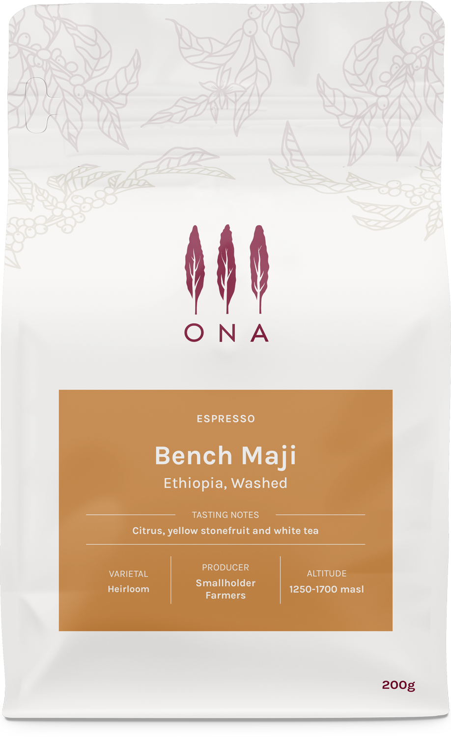 Photo of Bench Maji, Ethiopia, Washed