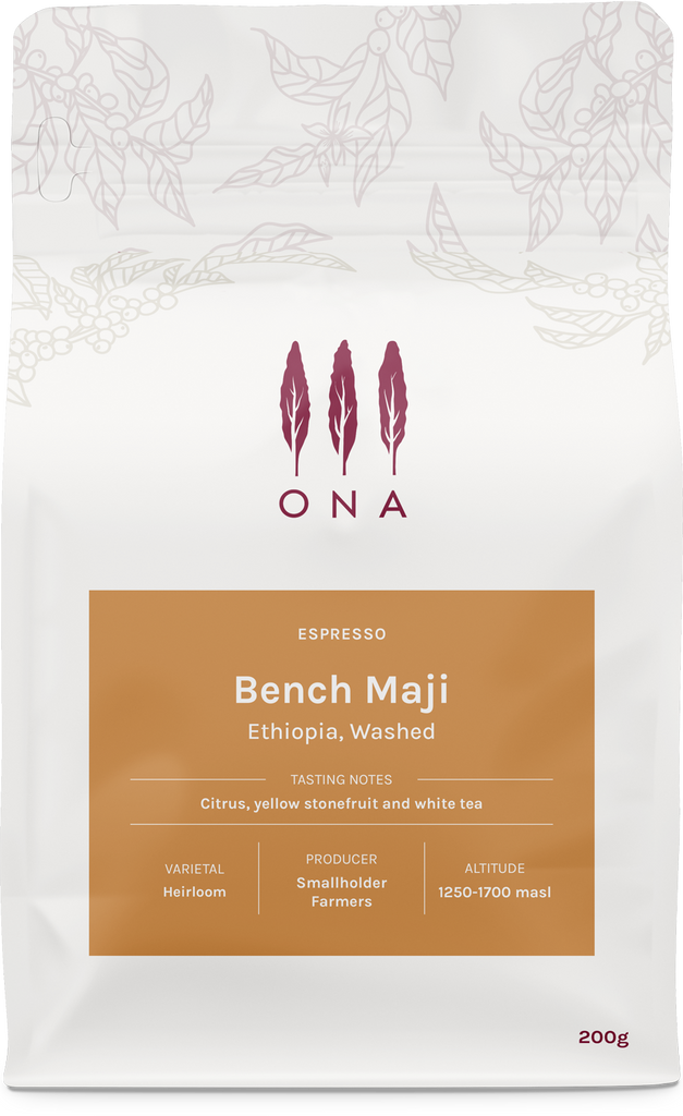Bench Maji, Ethiopia, Washed