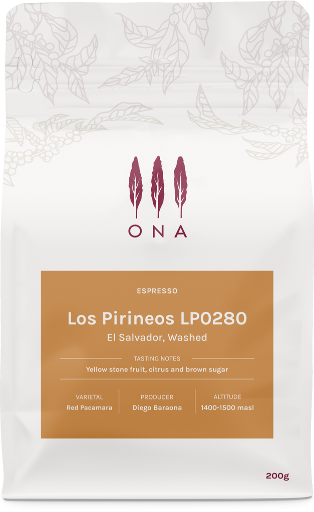 Los Pirineos LP0280, El Salvador, Washed