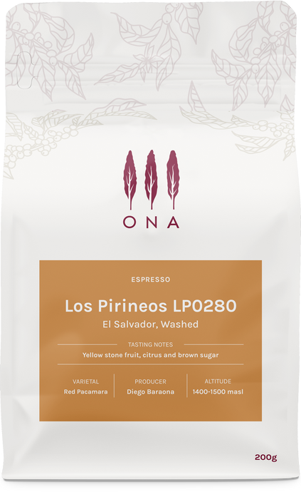 Los Pirineos LP0280, El Salvador, Washed