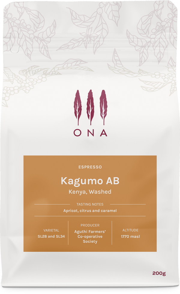 Kagumo AB, Kenya,  Washed