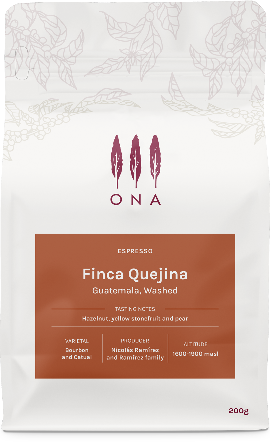 Photo of Finca Quejina, Guatemala, Washed