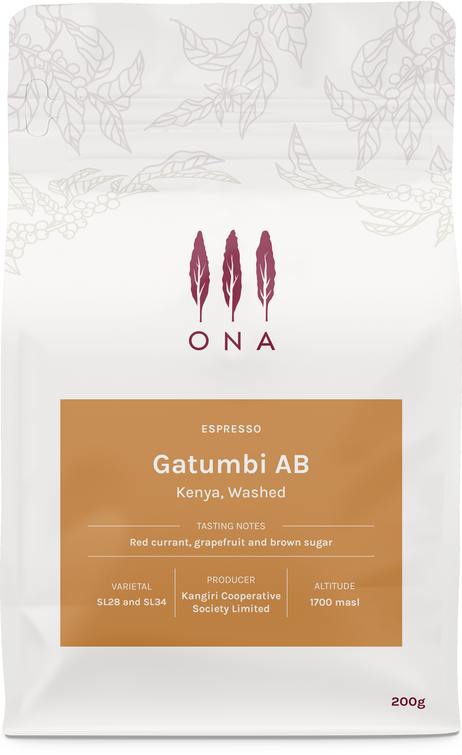 Photo of Gatumbi AB, Kenya, Washed