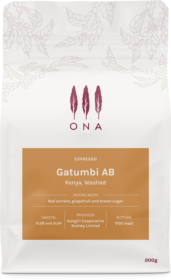 Gatumbi AB, Kenya, Washed