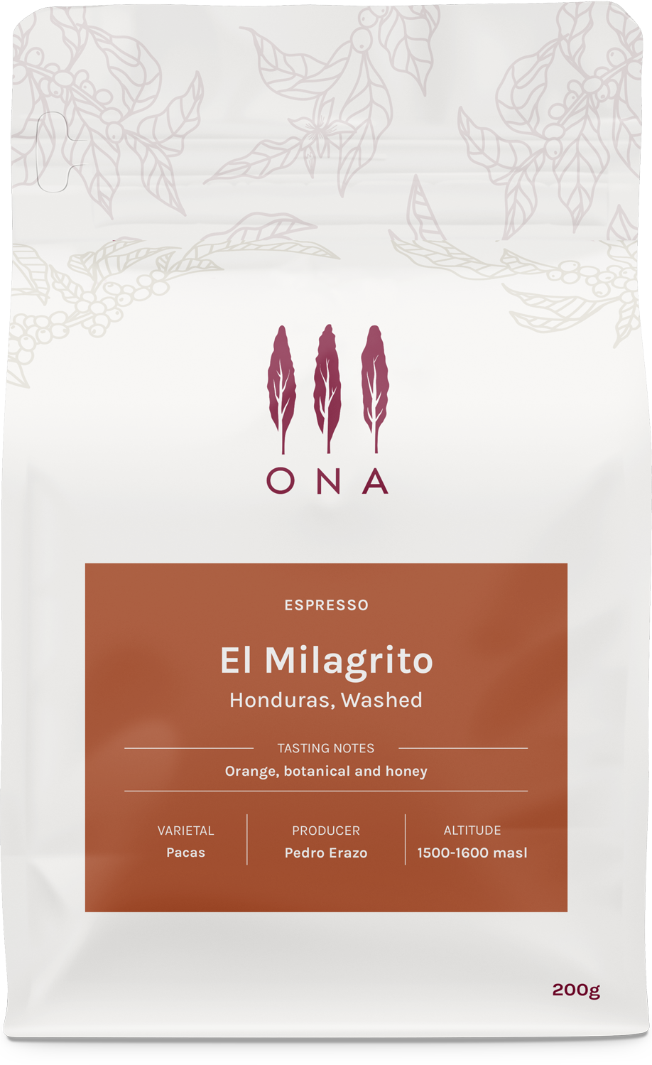 Photo of El Milagrito, Honduras, Washed