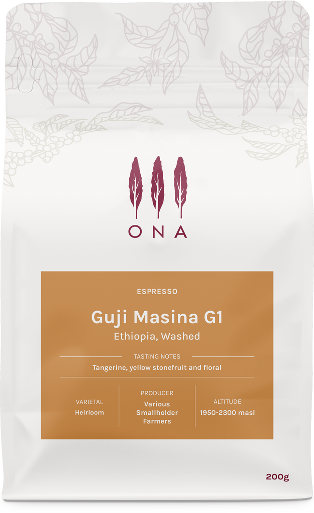 Guji Masina G1, Ethiopia, Washed