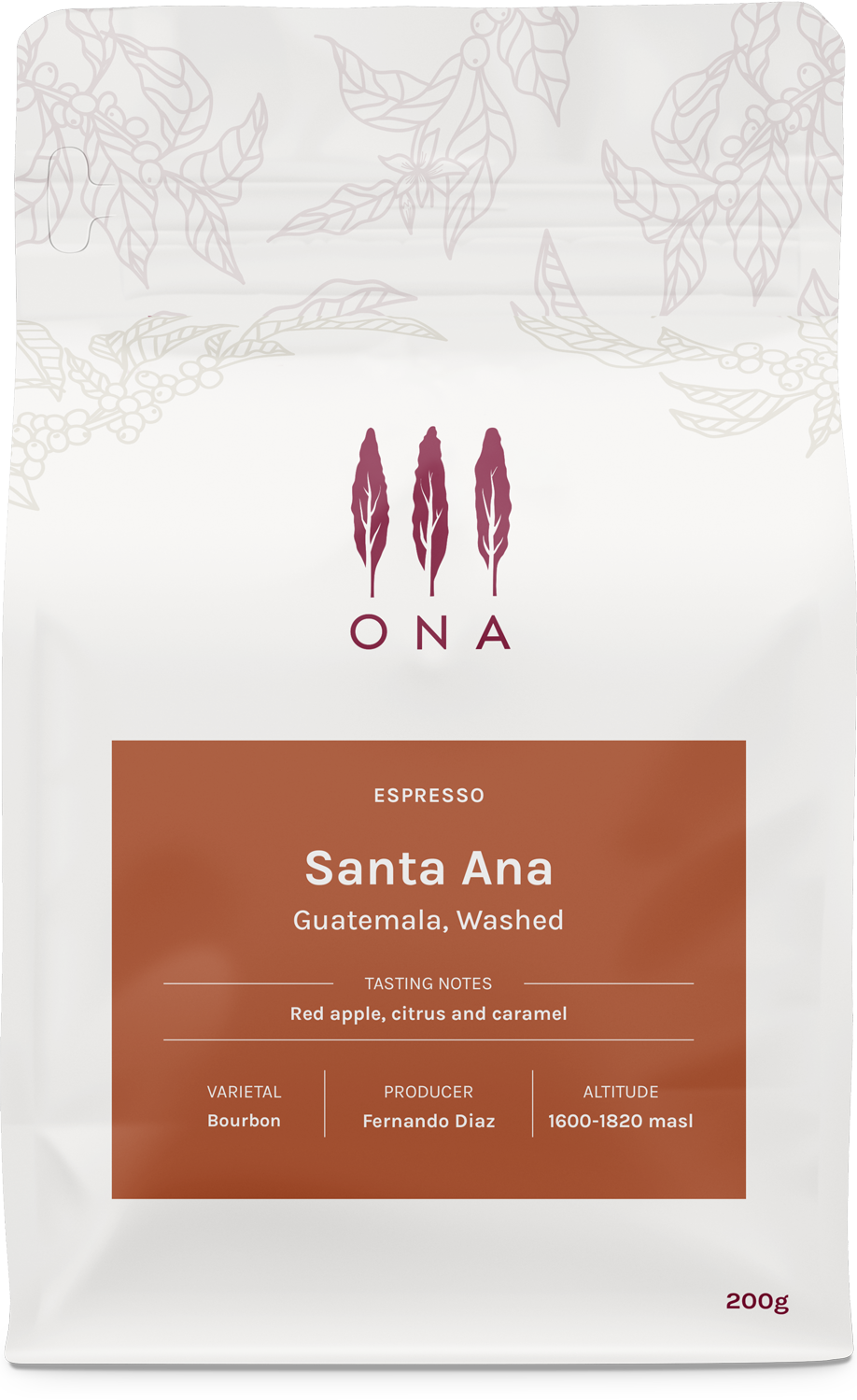 Santa Ana, Guatemala, Washed