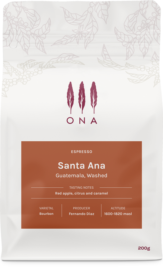 Santa Ana, Guatemala, Washed