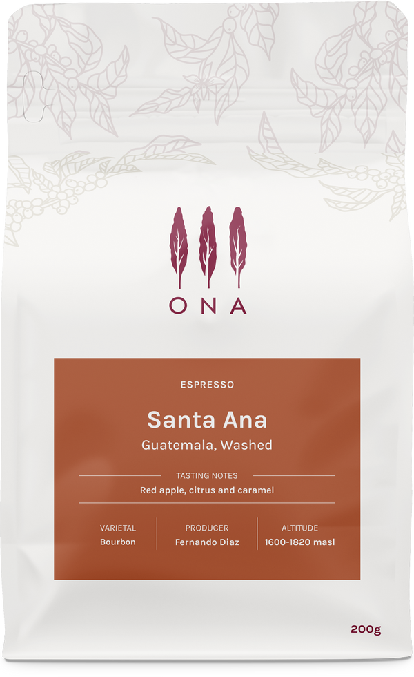 Santa Ana, Guatemala, Washed