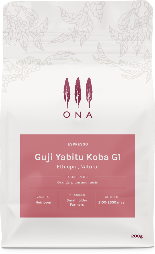 Guji Yabitu Koba G1, Ethiopia, Natural