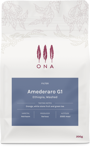 Amederaro G1, Ethiopia, Washed