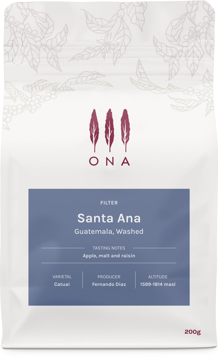 Santa Ana, Guatemala, Washed