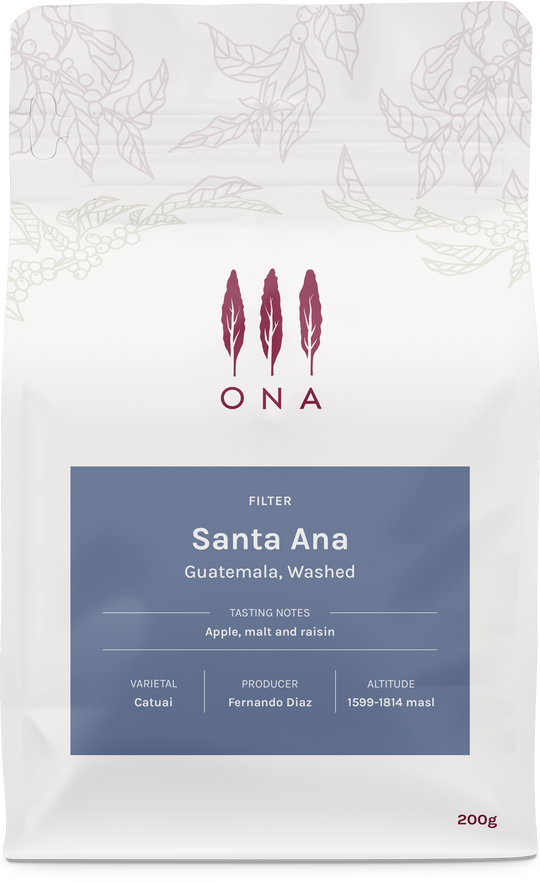 Santa Ana, Guatemala, Washed