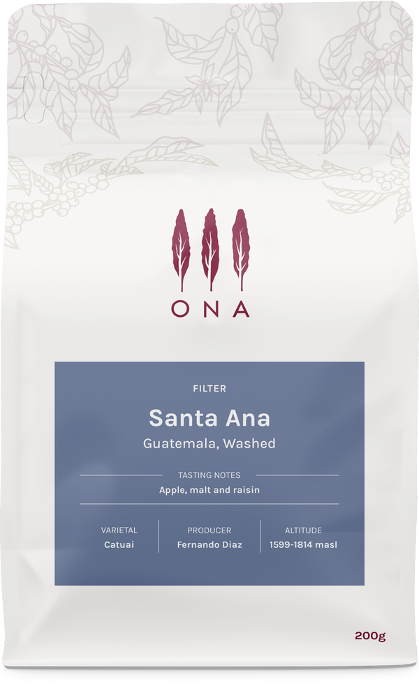 Santa Ana, Guatemala, Washed