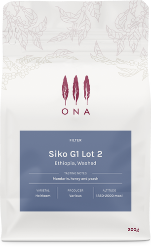 Siko G1 Lot 2, Ethiopia, Washed