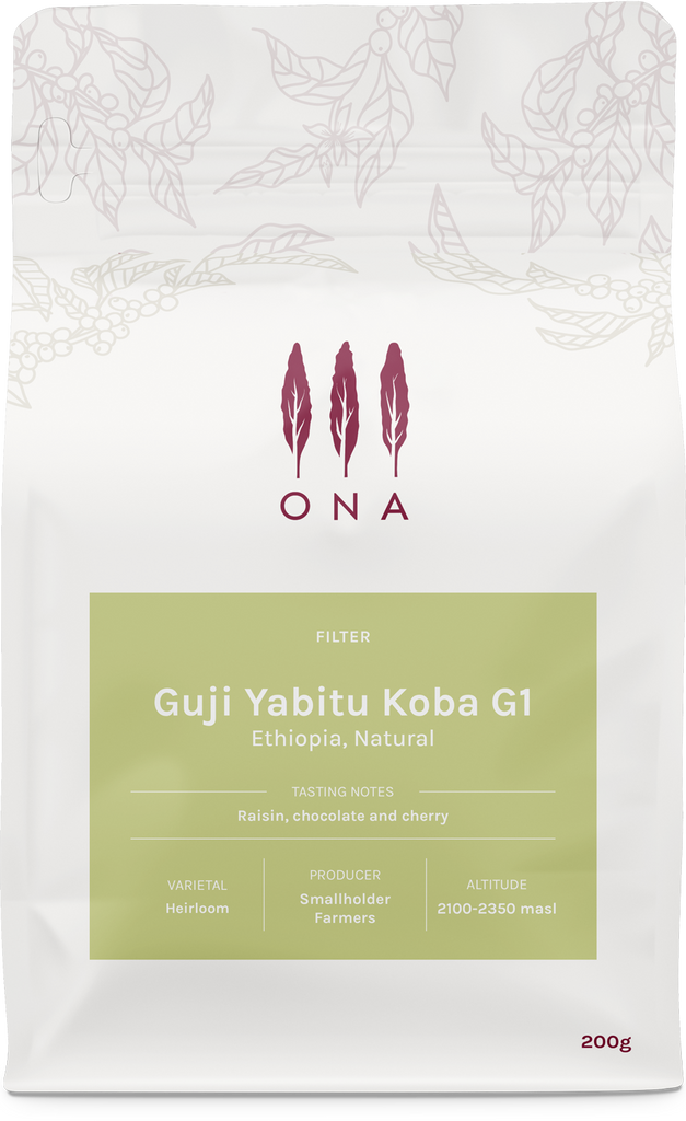 Guji Yabitu Koba G1, Ethiopia, Natural