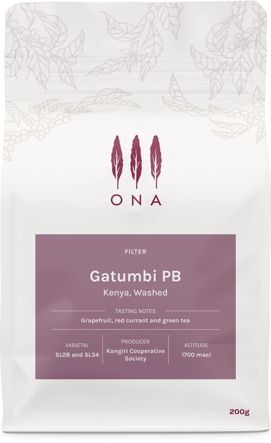 Gatumbi PB, Kenya, Washed