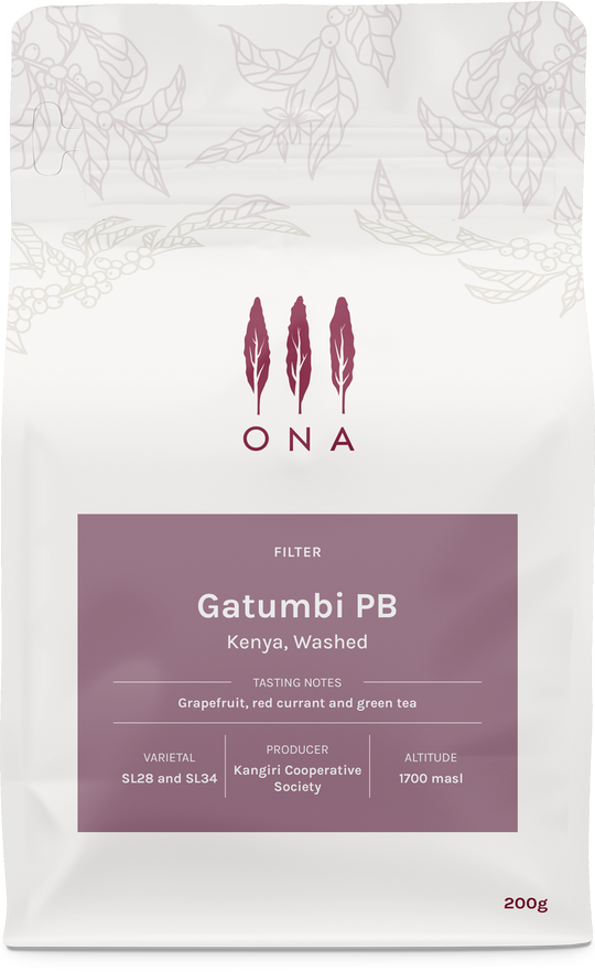 Gatumbi PB, Kenya, Washed