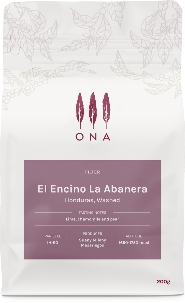 El Encino La Abanera, Honduras, Washed