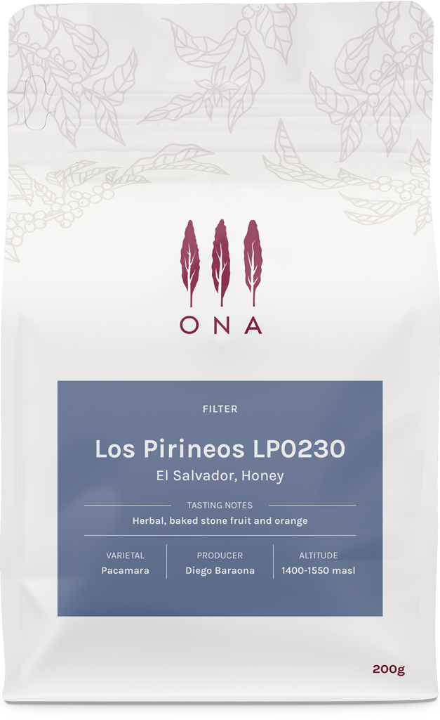 Los Pirineos LP0230, El Salvador, Honey