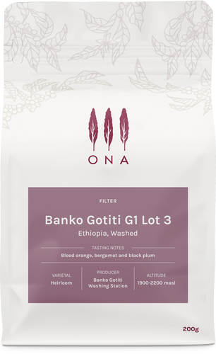 Banko Gotiti G1 Lot 3, Ethiopia, Washed