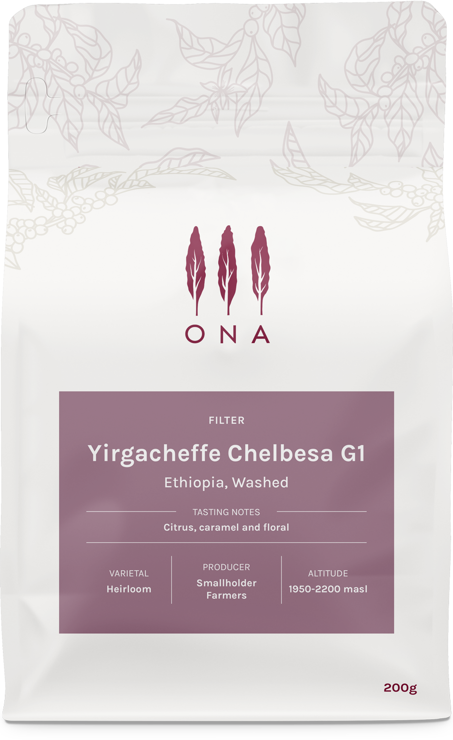 Photo of Yirgacheffe Chelbesa G1, Ethiopia, Washed