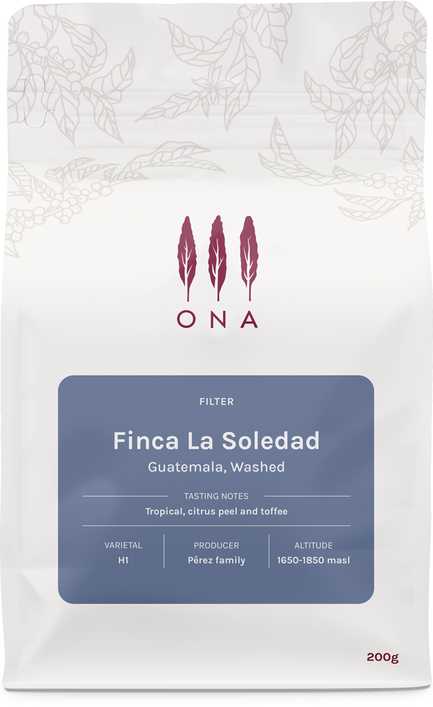 Finca La Soledad, Guatemala, Washed