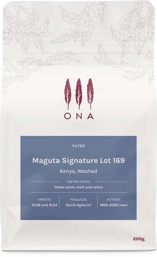 Maguta Signature Lot 169, Kenya, Washed
