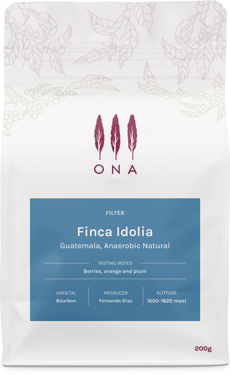 Finca Idolia, Guatemala, Anaerobic Natural