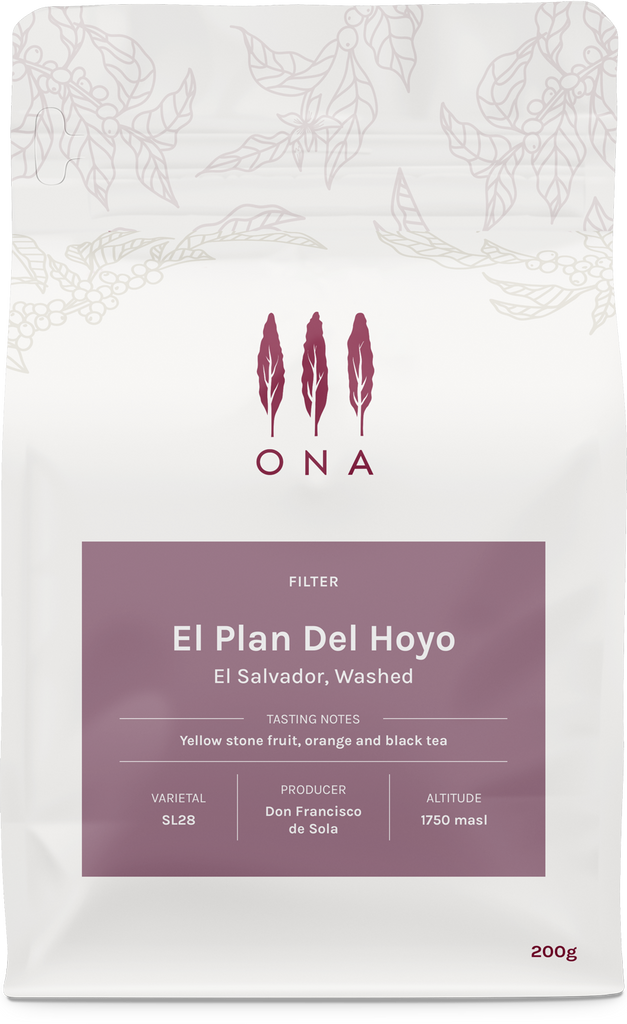 El Plan Del Hoyo, El Salvador, Washed