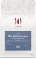 Flor del Café Jalapa, Guatemala, Washed