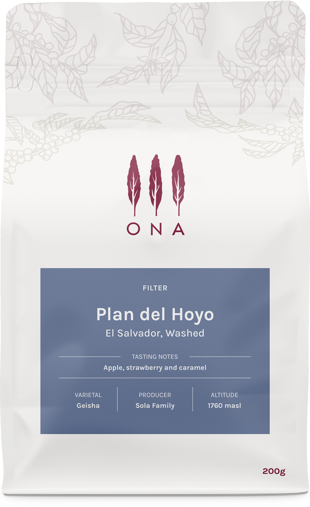 Plan del Hoyo, El Salvador, Washed