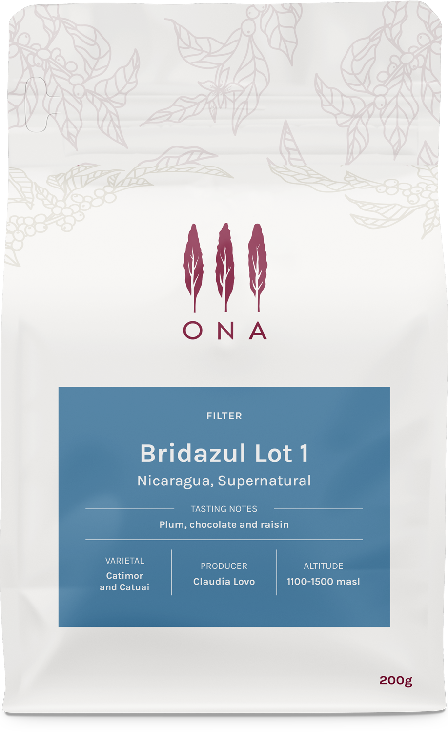 Bridazul Lot 1, Nicaragua, Supernatural