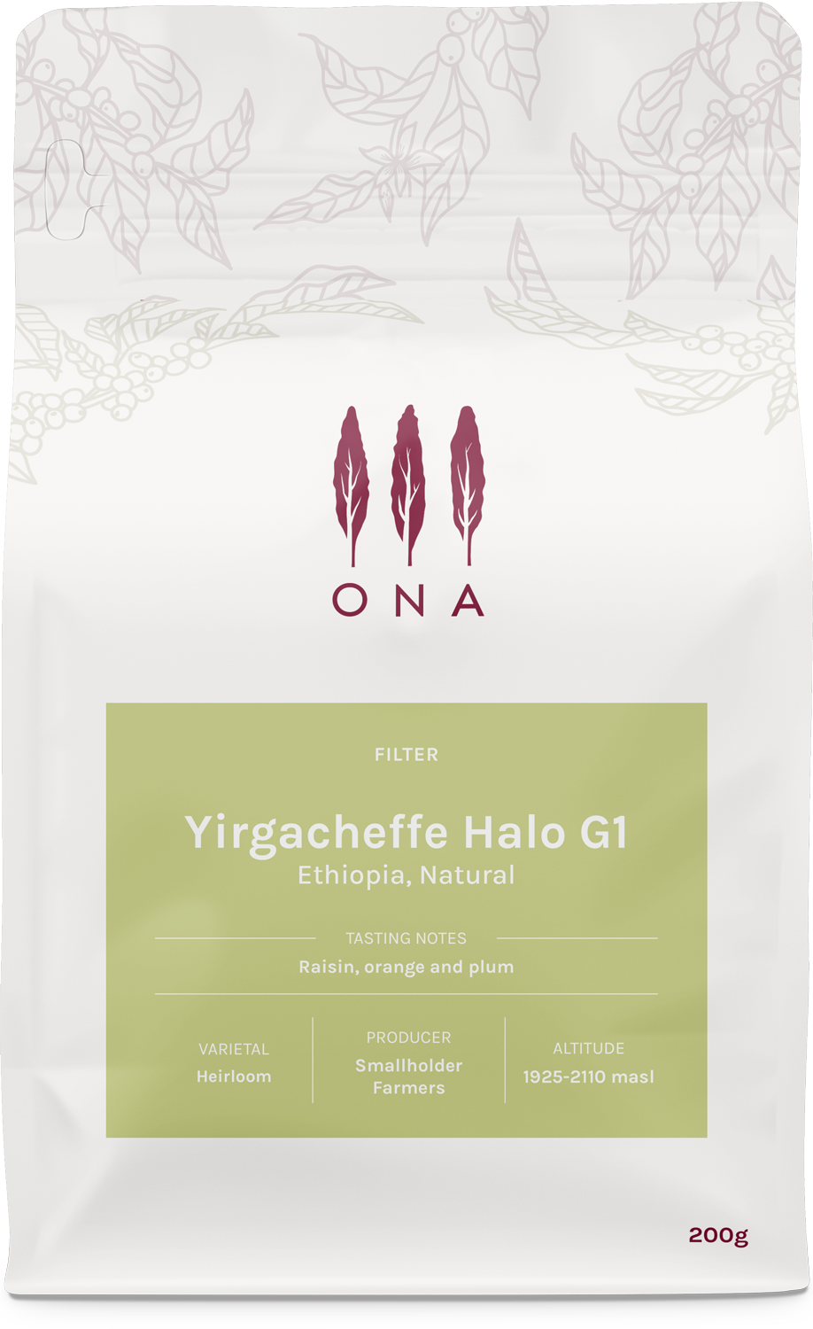 Photo of Yirgacheffe Halo G1, Ethiopia, Natural