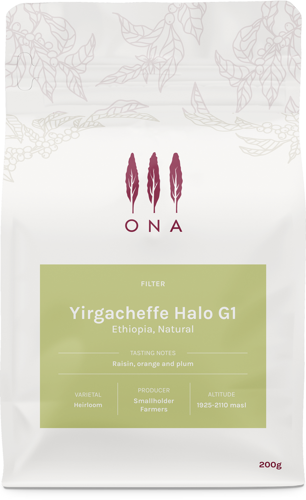 Yirgacheffe Halo G1, Ethiopia, Natural