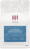 Los Suyates Community Well 3, Nicaragua, CM Natural Jasper